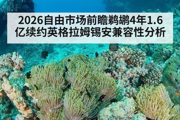2026自由市场前瞻鹈鹕4年1.6亿续约英格拉姆锡安兼容性分析