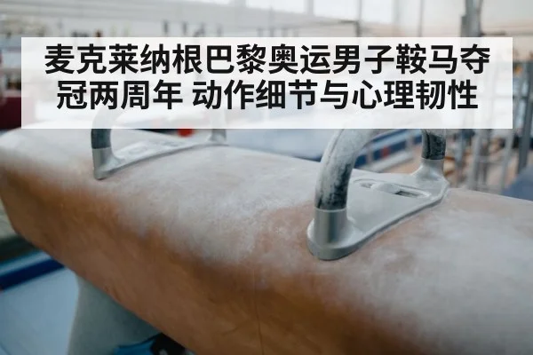 麦克莱纳根巴黎奥运男子鞍马夺冠两周年 动作细节与心理韧性